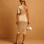 Slim fit elegant dress for women in classic tones, ideal for formal occasions, office wear, or stylish evenings.
